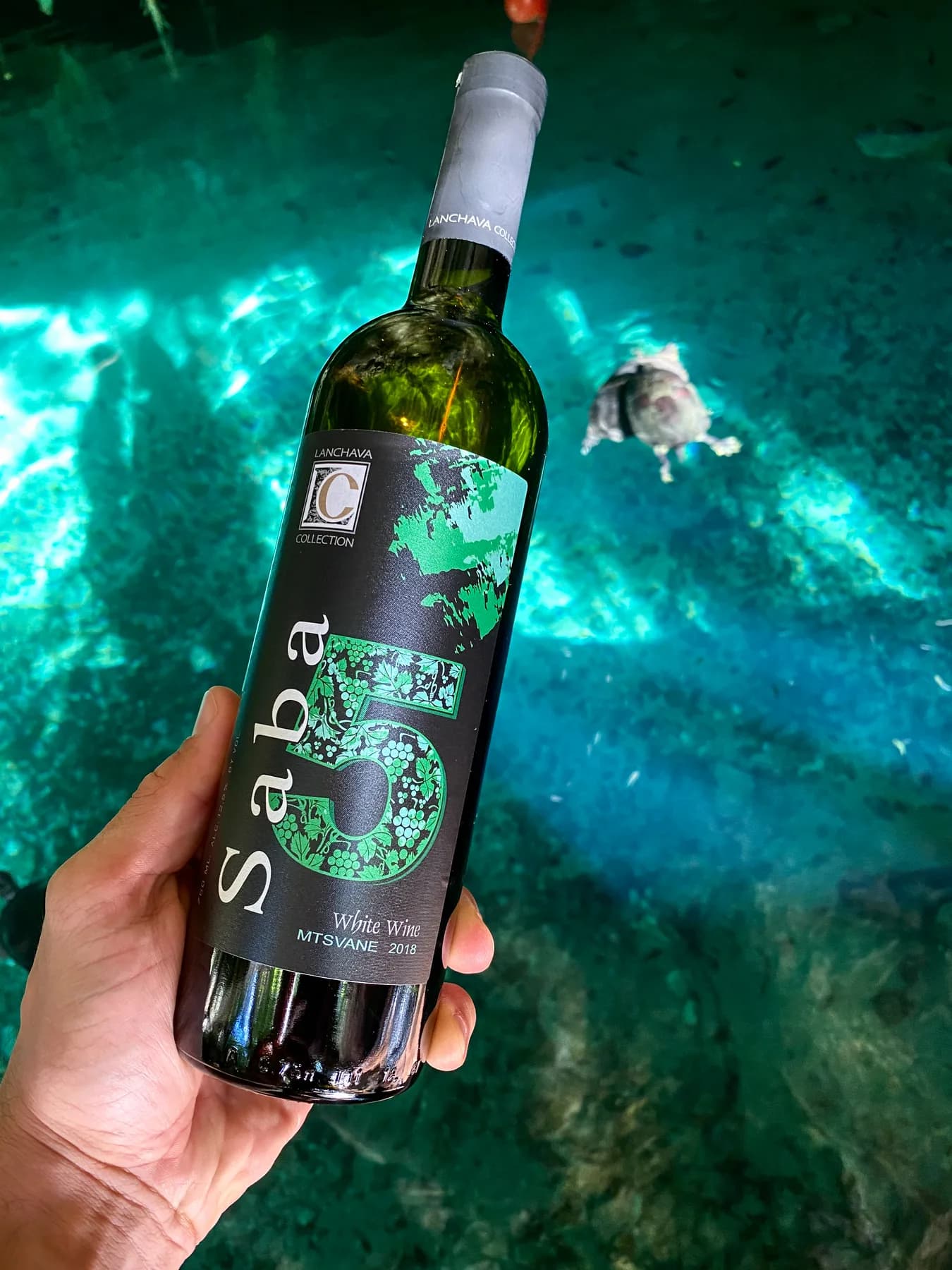 A hand holding a bottle of Saba white wine above clear turquoise water, a turtle swimming below