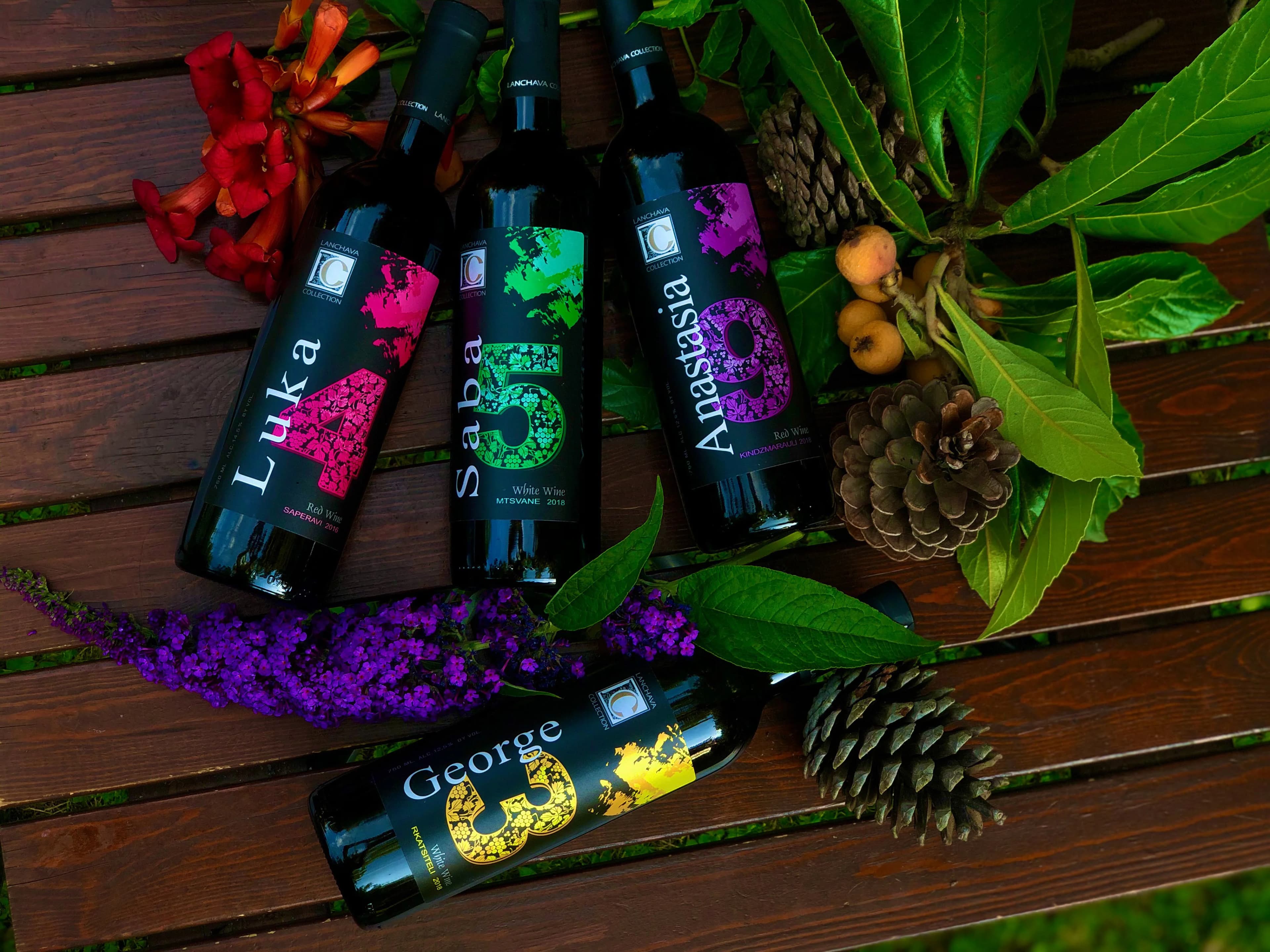 Georgian vineyard and wine collection